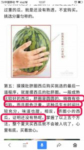 西瓜坐瓜后多远掐尖 西瓜熟透后多久才宜掐尖