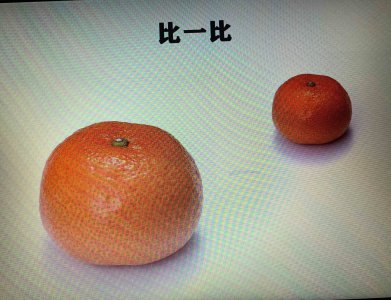 桔子和橘子一样吗 桔子和橘子相似吗？