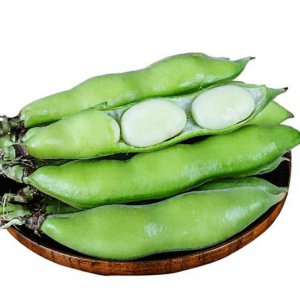 夏天时令蔬菜有哪些？ 夏天时令蔬菜有哪些?