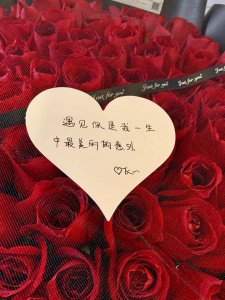 十九朵红玫瑰花语是什么 十九支红玫瑰的花语是什么？