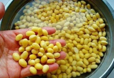黄豆是豌豆吗 黄豆和豌豆是同一种植物吗？