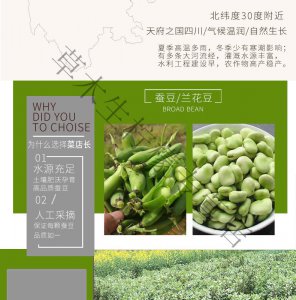 四川胡豆什么时候种最合适 四川何时适合种植胡豆？