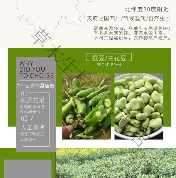 四川胡豆什么时候种最合适