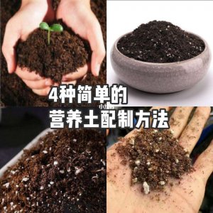 自己在家怎么配置植物营养土 在家DIY植物营养土的配置方法