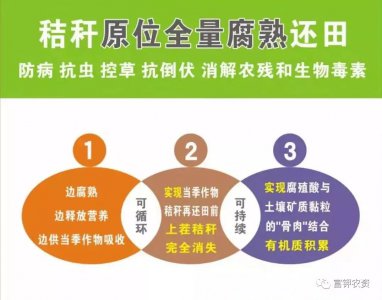 玉米秸秆还田的利弊与解决措施 玉米秸秆还田的利与弊及解决办法
