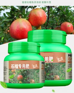 种石榴要用什么肥才结果 种植石榴需施什么肥料才能结果好？