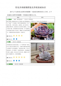 多肉植物养护方法小知识 多肉植物养护要点