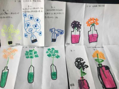 波斯菊的种植方法和注意事项 种植波斯菊的方法及注意事项