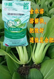 小白菜追肥用什么肥料好 小白菜最适合使用哪种肥料追肥？