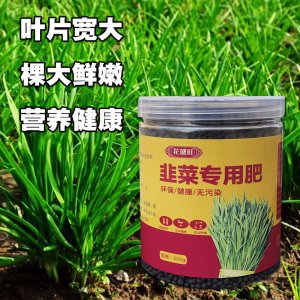 韭菜用什么肥料长得又肥又壮 给韭菜施什么肥料可以长得又肥又壮？