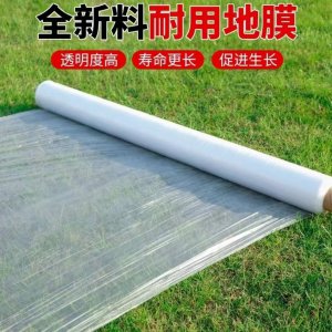种地膜花生用什么肥料最好 何种肥料最适合种植地膜花生？