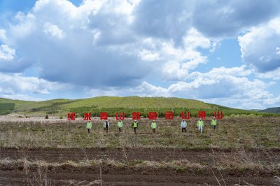 沙棘种植适合什么地方 沙棘适合生长的地区？