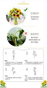 花换盆后什么时候浇水 更换盆土后多久浇水合适？