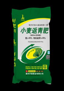 小麦返青肥用什么肥料好 什么肥料适合小麦的返青肥阶段