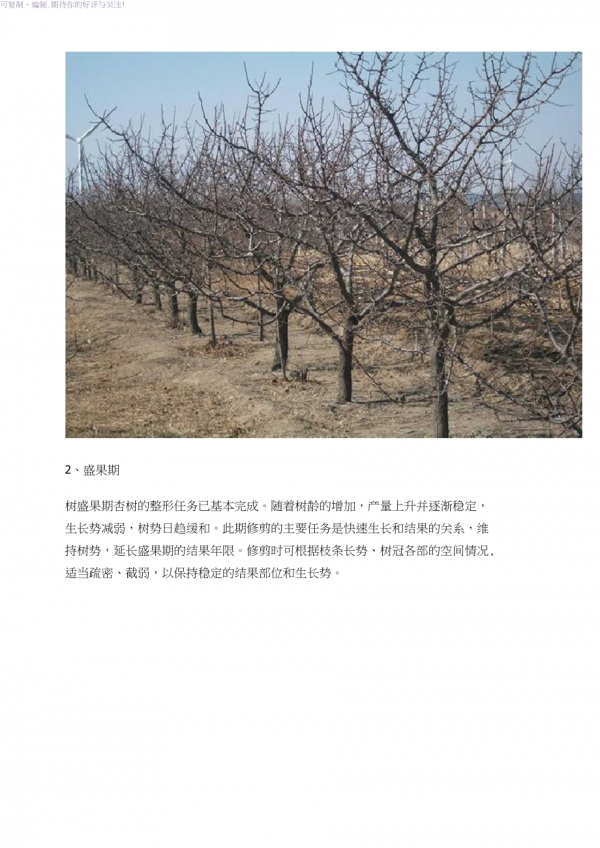 杏树的冬季修剪方法