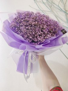 紫色满天星花语和寓意 紫色星空花语和象征意义