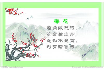青梅花语是什么 青梅花语指什么