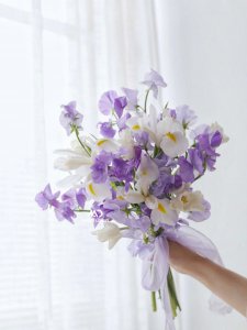 香豌豆花寓意是什么 香豌豆花象征什么含义？