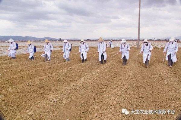 菜地土壤消毒的最好方法