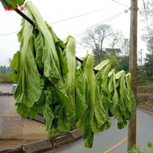 贵州蔬菜品种大全 贵州蔬菜种类全收录
贵州各类蔬菜一览