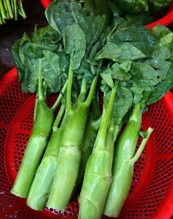 潮汕蔬菜品种大全