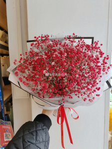 红色满天星花语和寓意 红色星花的花语和象征含义