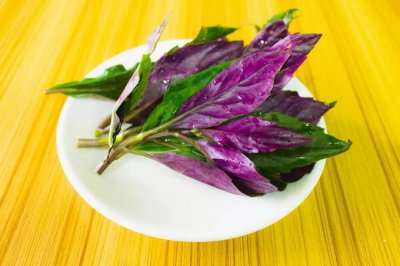 名贵高档蔬菜品种 珍稀优质蔬菜品种