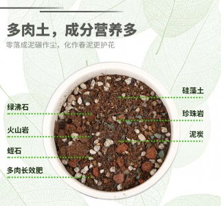 多肉土怎么配 多肉植物适合什么土壤配方？