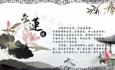 一叶莲花语和寓意 一叶莲花纯洁与希望