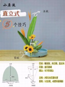 太阳花插花技巧 太阳花插花窍门