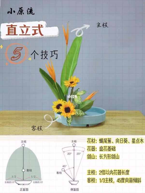 太阳花插花技巧