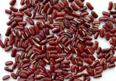 红豆有几种 红豆有多少种类？