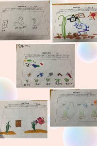韭菜几天出苗 韭菜发芽需要多久
