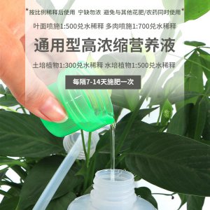 土培植物营养液滴几滴 土栽种营养液滴量是多少