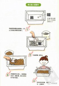 白菜种子怎么种植方法 种植白菜种子的方法

栽培白菜的步骤