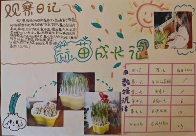 大蒜怎么繁殖 如何繁殖大蒜
大蒜的繁殖方法