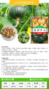 南瓜种子怎么种植方法 如何种植南瓜种子

栽培南瓜的步骤