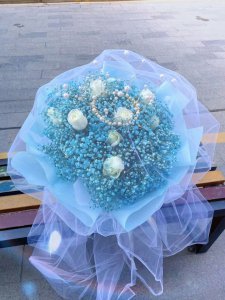 蓝色满天星的花语是什么意思 蓝色星空花语揭示的含义