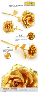 金色玫瑰的花语是什么意思 金色玫瑰象征着什么？