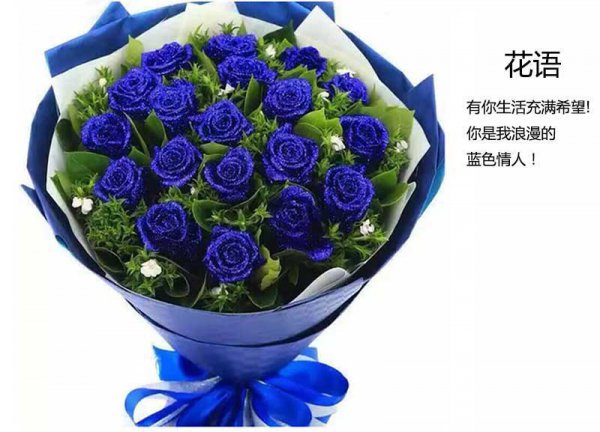 19朵蓝色妖姬的花语是什么意思