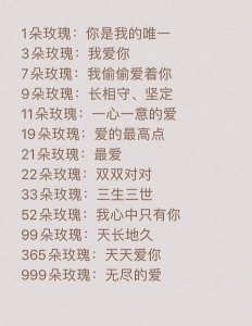 11朵玫瑰的花语是什么意思 11朵玫瑰的含义是什么？