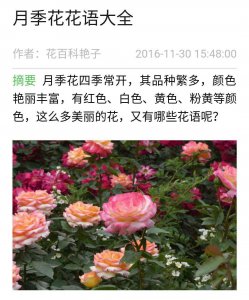 什么花的花语是永恒的友谊 代表永恒友谊的花语