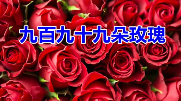 什么花的花语是好想你