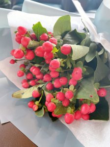 红豆开花有什么寓意 红豆绽放象征着什么？