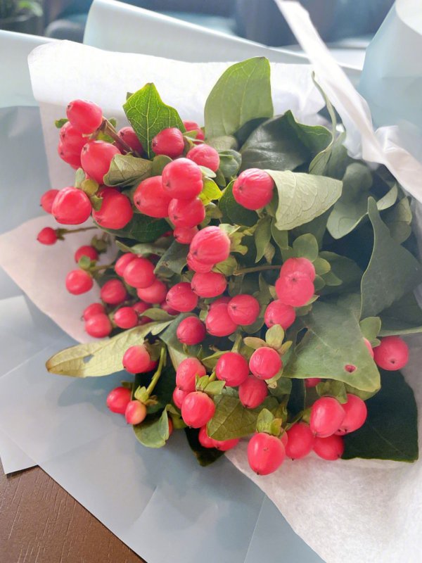 红豆开花有什么寓意