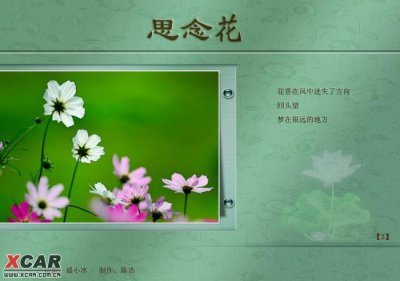 什么花的花语是思念和等待 思念与等待何种花的花语？