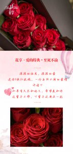 什么花的花语是至死不渝的爱 表达永恒爱意的花语
