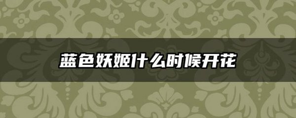 蓝色妖姬什么时候开花