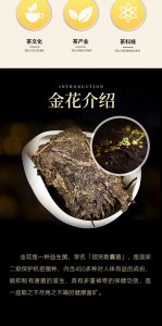 金花茶什么时候开花 金花茶开花时间是什么时候？