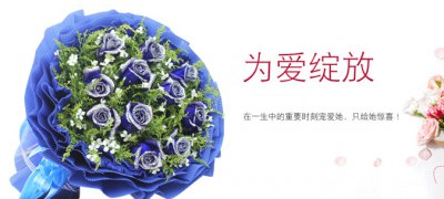 蓝色妖姬的花语和寓意 蓝色妖姬花语及象征意义